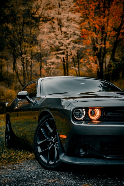 Dodge Collision Repair Central Omaha - Dingmans Team